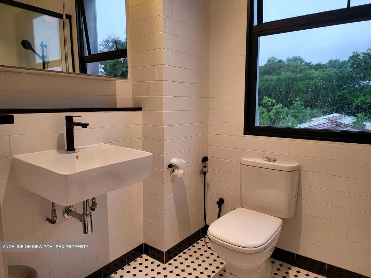 Holland Rise (D10), Apartment #534234941